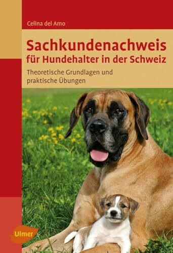 Sachkundenachweis für Hundehalter in der Schweiz: Theoretische Grundlagen und praktische Übungen
