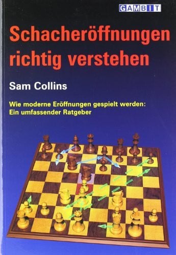 Schacheröffnungen richtig verstehen