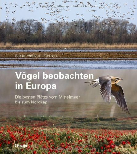 Vögel beobachten in Europa: Die besten Plätze vom Mittelmeer bis zum Nordkap