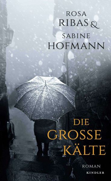 Die große Kälte: Roman. Originalausgabe (Barcelona-Krimi, Band 2)