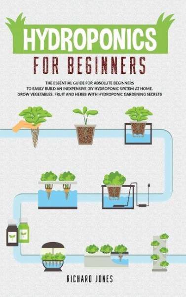 Hydroponics For Beginners