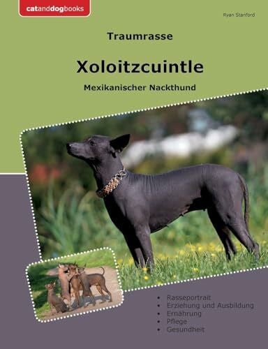 Traumrasse Xoloitzcuintle: Mexikanischer Nackthund