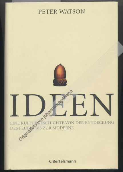 Ideen: Eine Kulturgeschichte von der Entdeckung des Feuers bis zur Moderne