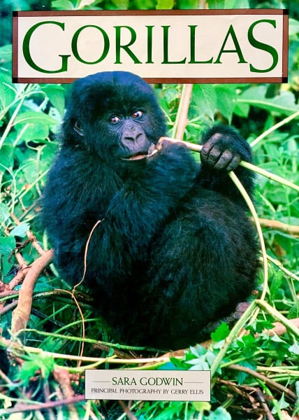 Gorillas