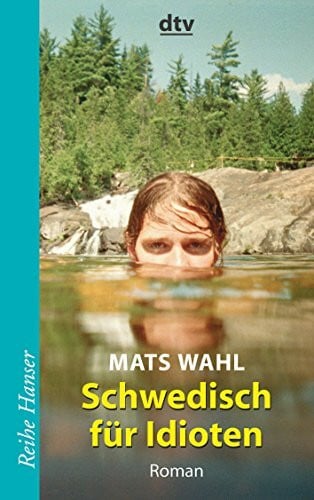 Schwedisch für Idioten: Roman (Reihe Hanser)