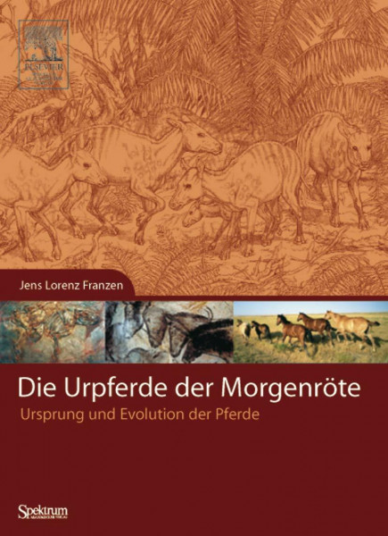 Die Urpferde der Morgenröte: Ursprung und Evolution der Pferde
