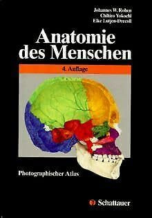 Anatomie des Menschen