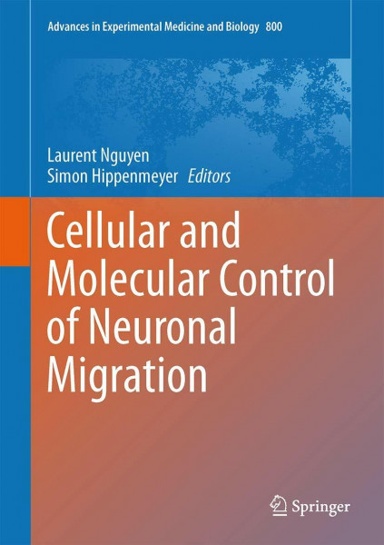 Cellular and Molecular Control of Neuronal Migration (Advances in Experimental Medicine and Biology, 800, Band 800)