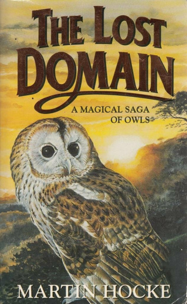 The Lost Domain