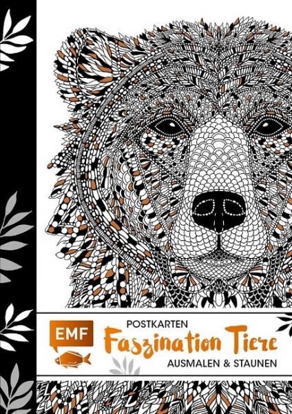 Postkarten - Faszination Tiere