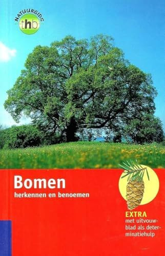 Bomen herkennen en benoemen