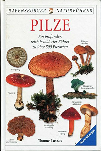 Handbuch Pilze: Ein profunder, reich bebilderter Führer zu über 500 Pilzarten