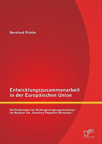 Entwicklungszusammenarbeit in der Europäischen Union: EU-Förderungen für Nichtregierungsorganisationen am Beispiel von „Nuestros Pequeños Hermanos“