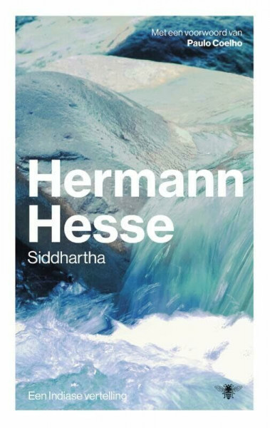 Siddhartha: een Indiase vertelling