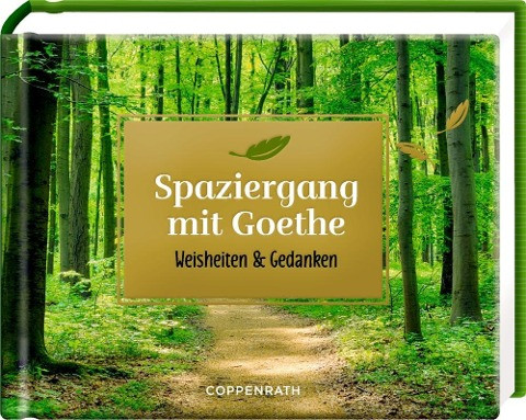 Spaziergang mit Goethe