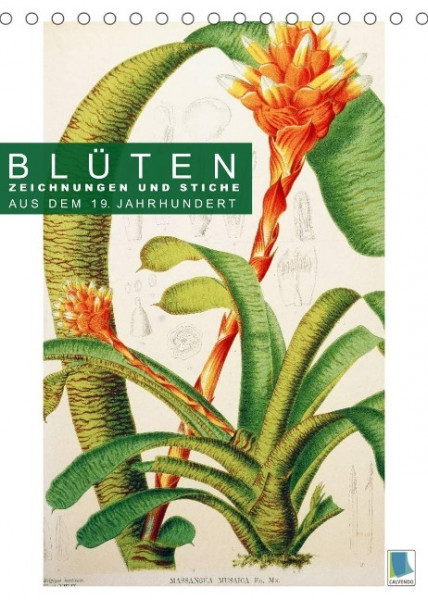 Blüten: Zeichnungen und Stiche aus dem 19. Jahrhundert (Tischkalender 2022 DIN A5 hoch)