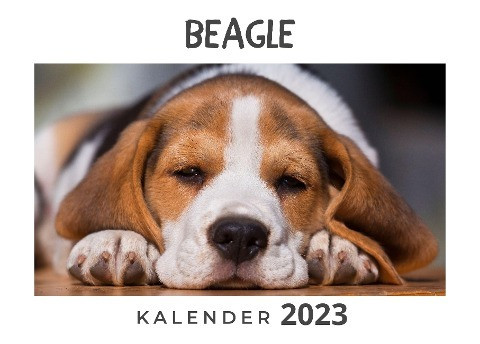 Beagle