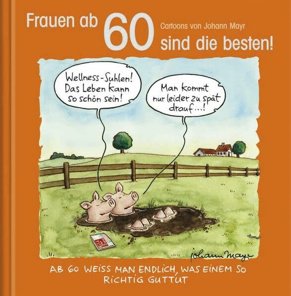 Frauen ab 60 sind die besten!: Cartoon-Geschenkbuch zum runden Geburtstag. Mit Silberfolienprägung