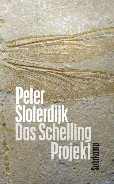 Das Schelling-Projekt