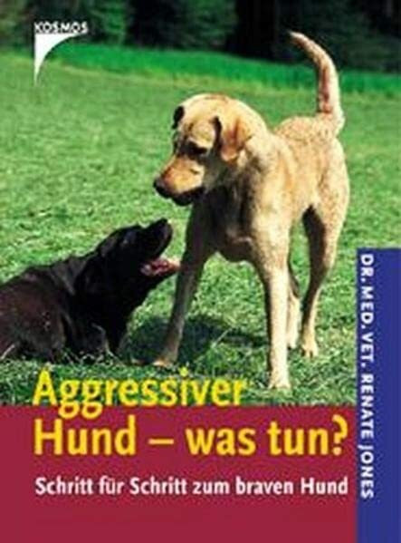 Aggressiver Hund - was tun?