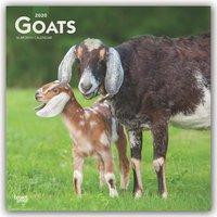 Goats - Ziegen 2020 - 18-Monatskalender