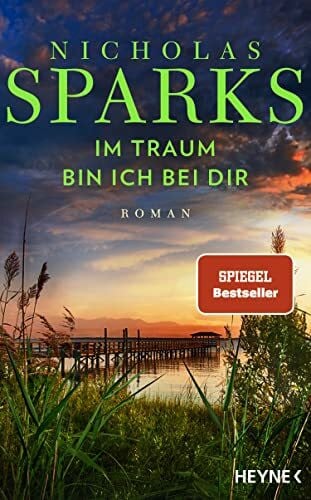 Im Traum bin ich bei dir: Roman