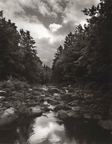 To Save a River: Documenting the Natural History, Restoration, and Preservation of the Ducktrap River