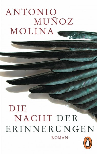 Die Nacht der Erinnerungen: Roman