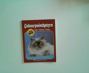 Colourpointkatzen