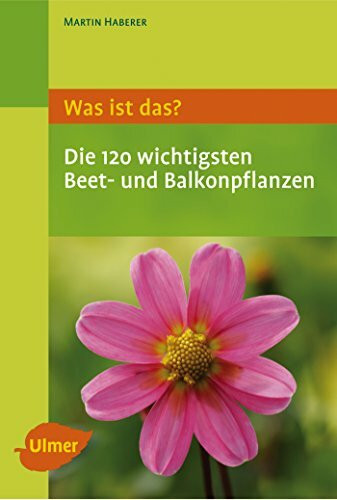 Was ist das? Die 120 wichtigsten Beet- und Balkonpflanzen