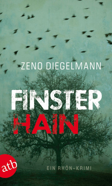 Finsterhain: Ein Rhön-Krimi (Kommissar Klaus Seeberg, Band 2)