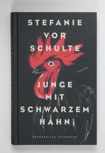 Junge mit schwarzem Hahn : Roman