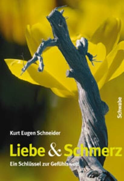 Liebe und Schmerz: Ein Schlüssel zur Gefühlswelt: Ein Schlussel Zur Gefuhlswelt