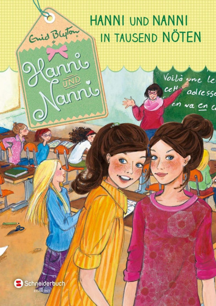 Hanni und Nanni 08: Hanni und Nanni in tausend Nöten