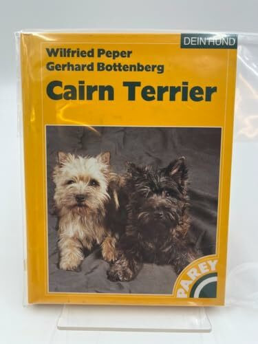 Cairn Terrier.