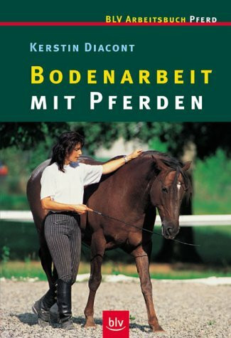 Bodenarbeit mit Pferden