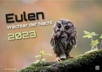 Eulen - Wächter der Nacht - 2023 - Kalender DIN A3