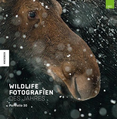 Wildlife Fotografien des Jahres - Portfolio 30