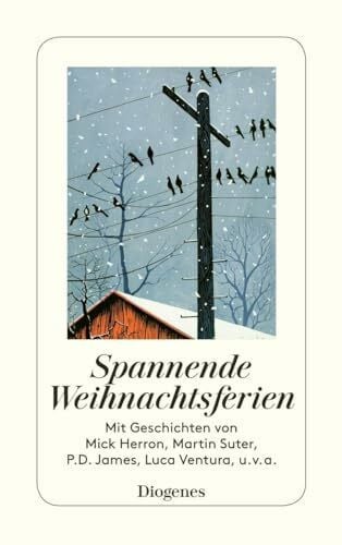 Spannende Weihnachtsferien (detebe)