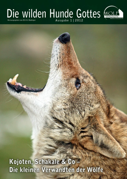 Wolf Magazin: Die wilden Hunde Gottes: Kojote, Schakal & Co - Die kleinen Verwandten der Wölfe (edition tieger)