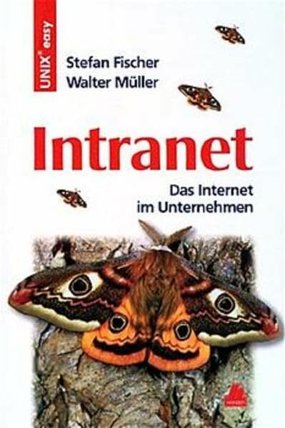 Intranet: Das Internet im Unternehmen