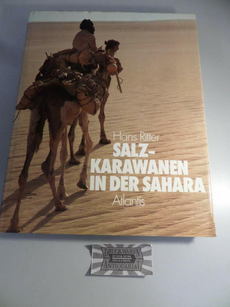 Salzkarawanen in der Sahara