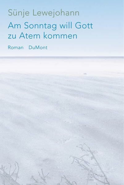 Am Sonntag will Gott zu Atem kommen: Roman