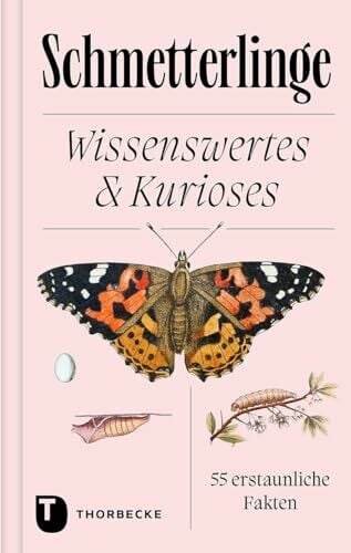 Schmetterlinge: Wissenswertes & Kurioses – 55 erstaunliche Fakten Schmetterlinge: Wissenswertes & Kurioses – 55 erstaunliche Fakten