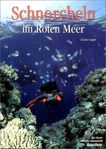 Schnorcheln im Roten Meer