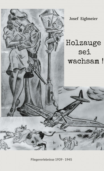Holzauge sei wachsam !: Fliegererlebnisse 1939 - 1945