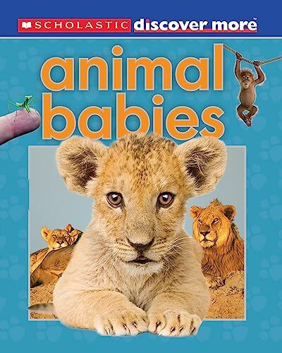 Scholastic Discover More: Animal Babies