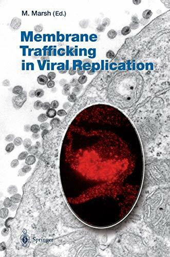 Membrane Trafficking in Viral Replication (Current Topics in Microbiology and Immunology, 285, Band 285)
