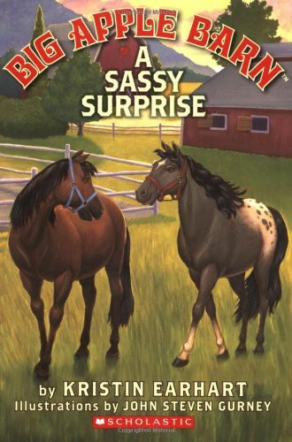 Sassy Surprise (Big Apple Barn, Band 3)
