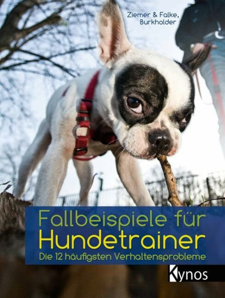 Fallbeispiele für Hundetrainer: Die 12 häufigsten Verhaltensprobleme